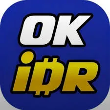 OKIDR - Petualangan Epik di Dunia MMORPG
